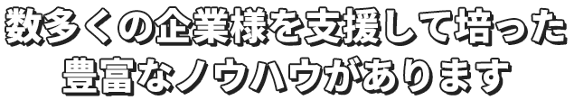 数多くの企業様を支援して培った豊富なノウハウがあります